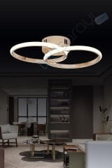Dekoratif Led Avize ACR-PL-02-2